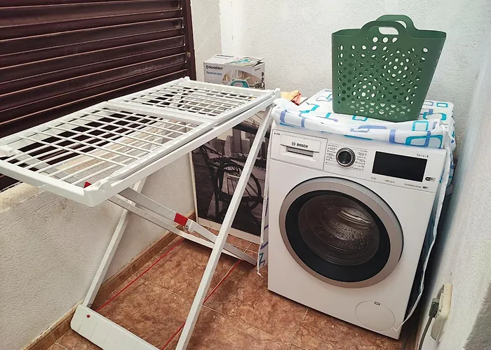 Flower Of Bahia Sol *