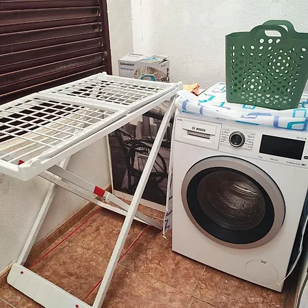 Flower Of Bahia Sol *